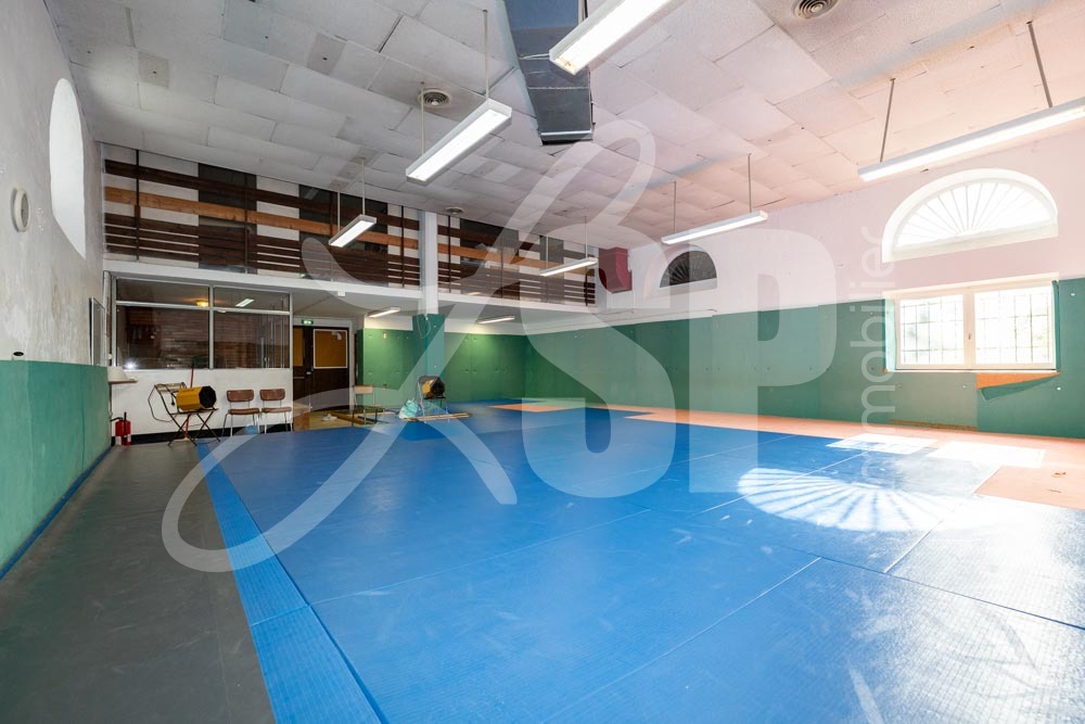 Local pro à vendre<br>9 pi&egrave;ces